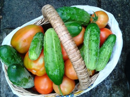 "Kui kasvatada ise toitu kasvõi natukene, vähendab see väga palju raiskamist ja ära jäävad ka need pikad suure ökoloogilise jalajäljega ahelad." - Toomas Trapido. Foto: Karin Volmer