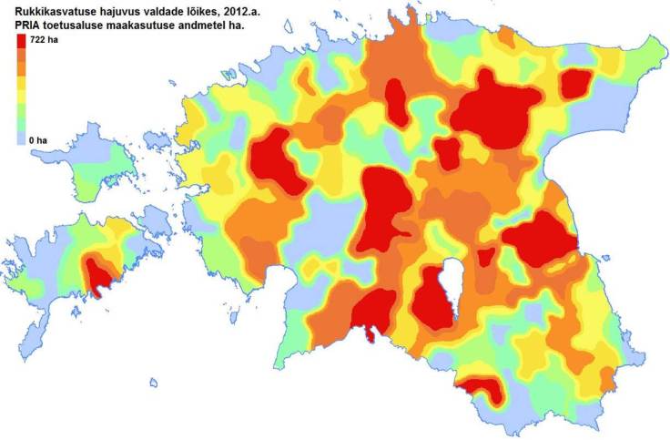 Kus kasvatatakse kõige rohkem rukist? 