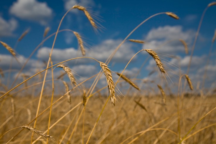 Maheteravili. Foto: Euroopa Komisjon