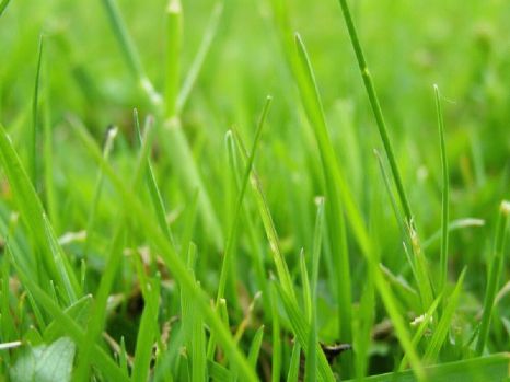 Foto: põllumajandusministeerium