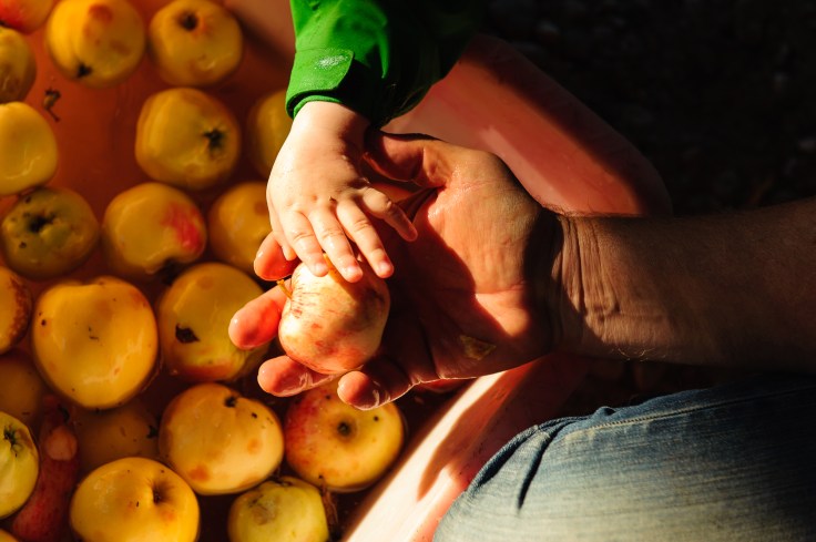 töö ei karda vanust