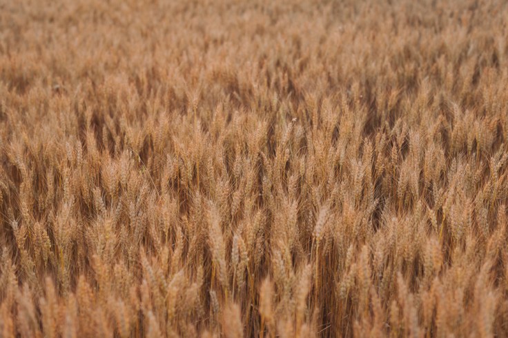 PMvili1-123 Katrin Press