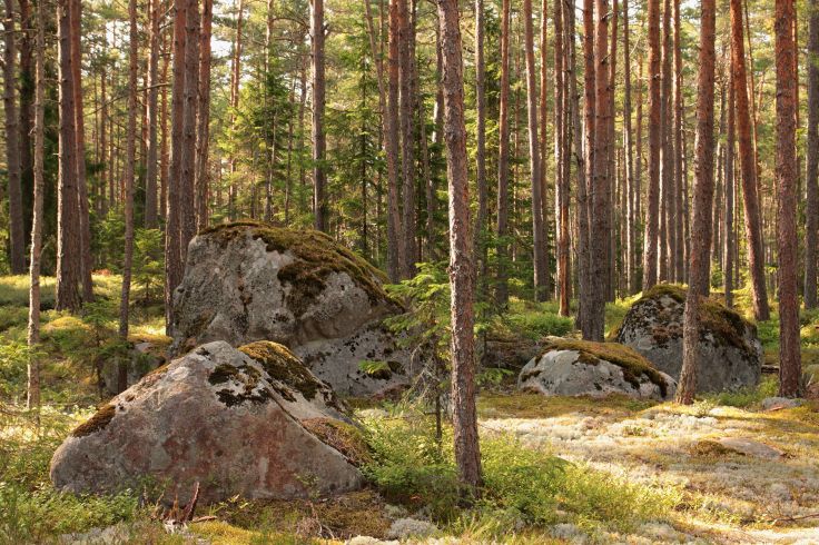 9257008940_d08103675a_o