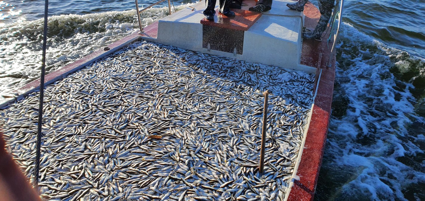 Täislastiga kalalaev püügil.